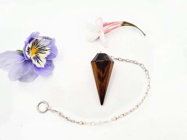 Tigers Eye Pendulum Point