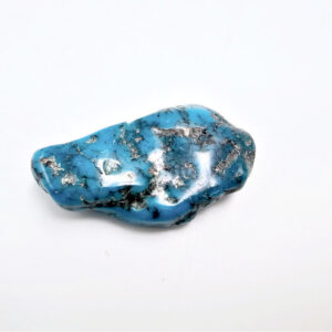 Turquoise palm stone