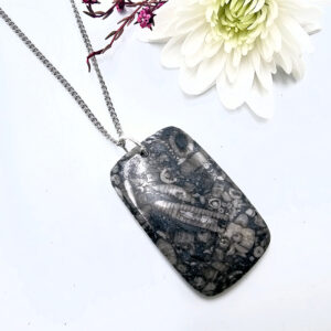NEW Turritella Agate Square Necklace