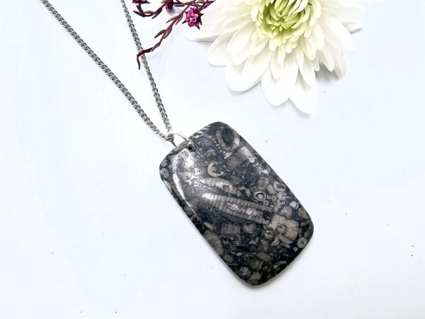 Turritella agate square pendant on a stainless steel necklace