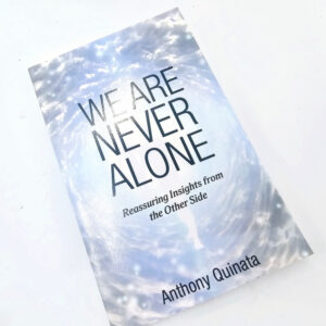 Hello Indigo Halo Online Store We are Never Alone Anthony Quinata 1 2
