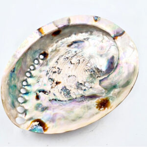 Polished Abalone Shell For Smudging