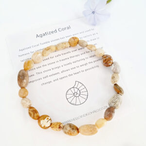 Agatized Coral Gemstone Nugget Bangle
