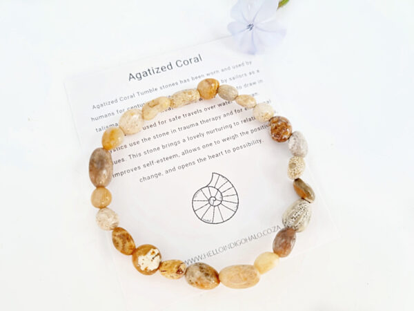 Agatized Coral Gemstone Nugget Bangle