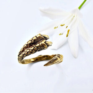Dragon Claw & Tail Ring (Brass)