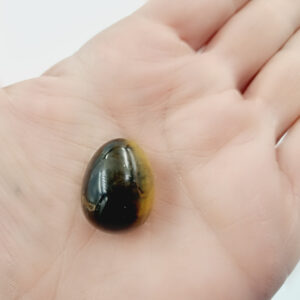 NEW egg tigers eye