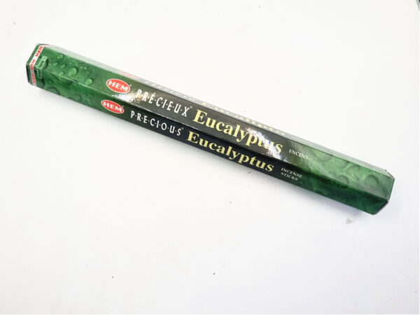 Eucalyptus HEM Incense Sticks