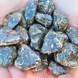Turitella Agate tumble stones