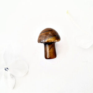 NEW mini mushroom tigers eye