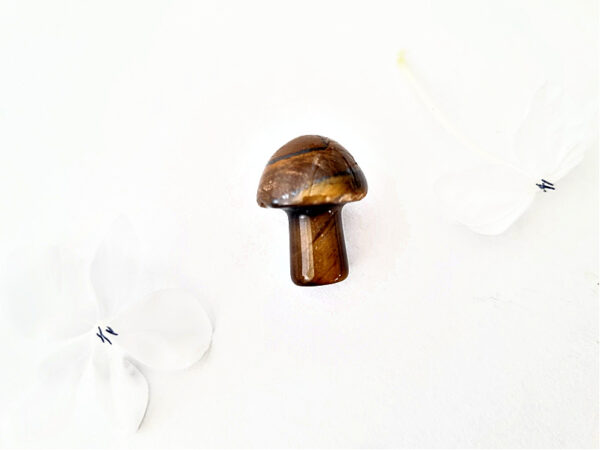 Mini Tigers Eye Mushroom (2cm)