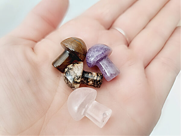 Mini Tigers Eye Mushroom (2cm) - Image 2