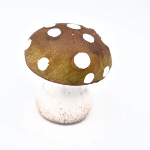 Brown & Green Mushroom