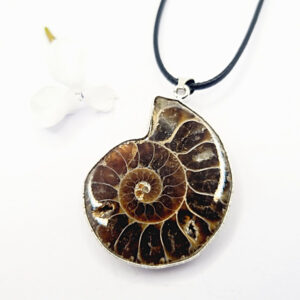 Ammonite Necklace (Strength & Stability)