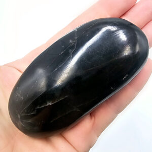 Pharaoh Palm Stone C (202g)