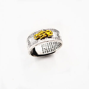 Pi Xiu Feng Shui Ring