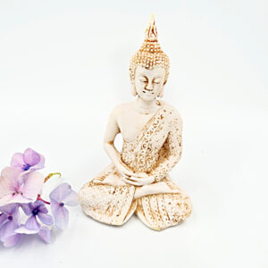 Buddha Meditation Statue (13cm)