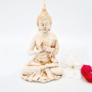 Buddha Statue (13cm) Teaching