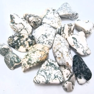 Tree Agate Tumble Stones