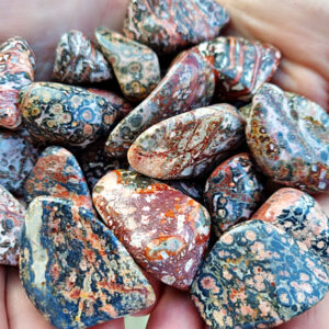 Leopard Skin Jasper Tumbled Stone