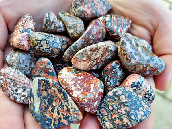 Leopard Skin Jasper Tumbled Stone