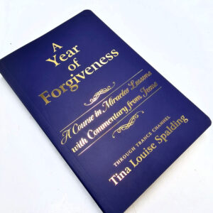 A year of forgiveness book