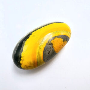 bumble bee jasper