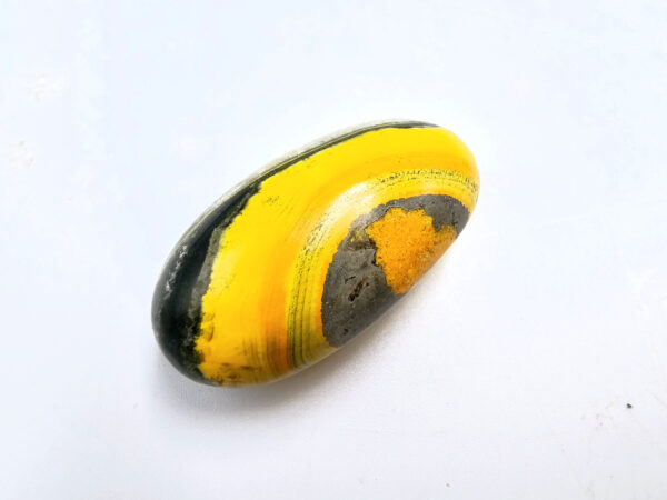 bumble bee jasper