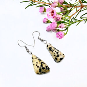 Dalmatian Jasper earrings