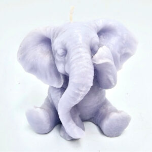 Elephant Covering Eye Candle