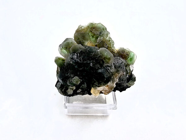 Erongo Fluorite with Tourmaline
