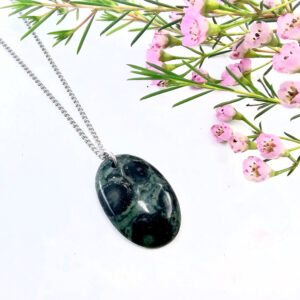 Kambaba Jasper Necklace stainless steel