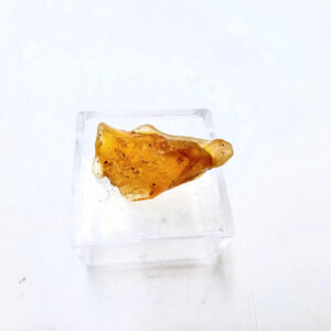 Natural Honey Gold Copal Amber