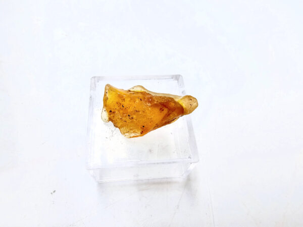 Natural Honey Gold Copal Amber
