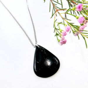 Nuummite necklace drop