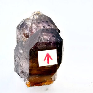 Royal Zulu Window Amethyst Pointwith a large Enhydro