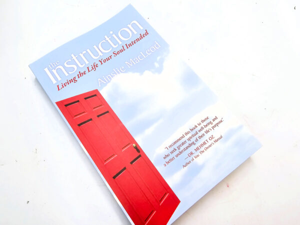 The Instruction (Ainslie MacLeod)