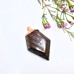 Tigers Iron pendant with a copper setting