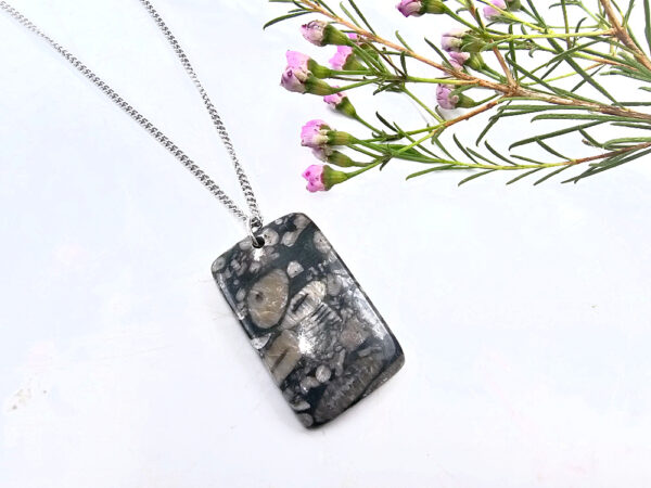 Turritella Agate Square Necklace