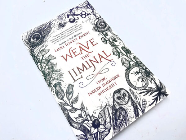 Weave the Liminal book for witches
