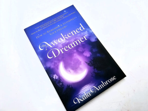 Awakened dreamer book