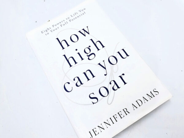 How High Can You Soar by Jennifer Adams