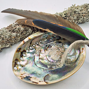 Impepho Smudge, Abalone & Feather Combo