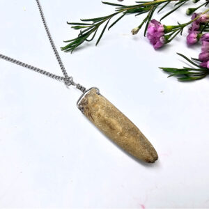 Belemnite Bullet Fossil Necklace