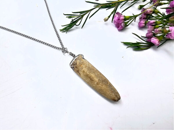 Belemnite Bullet Fossil Necklace