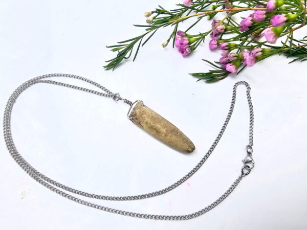 Belemnite Bullet Fossil Necklace - Image 2