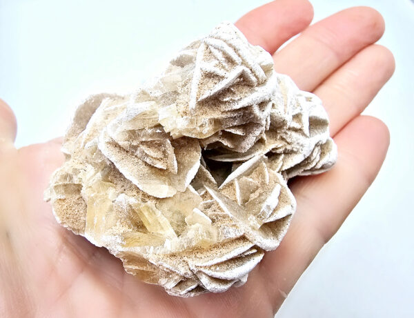 Desert Rose Selenite Specimen