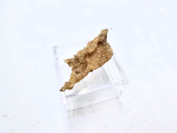 Fulgurite Specimen