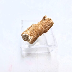 Fulgurite Specimen