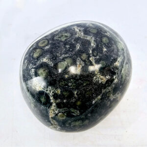 Kambaba Jasper Palm Stone I (157g)