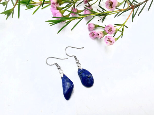 Lapis Lazuli Drop Earrings (Stainless Steel)